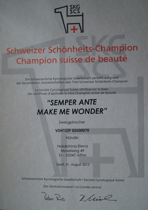 Schweizer Champion